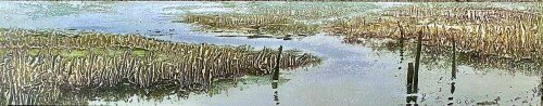 .IMG 3031