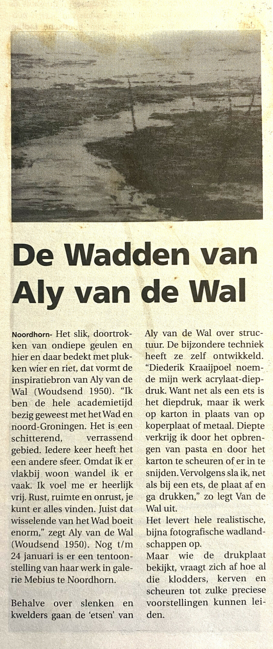 de wadden van aly van der wal